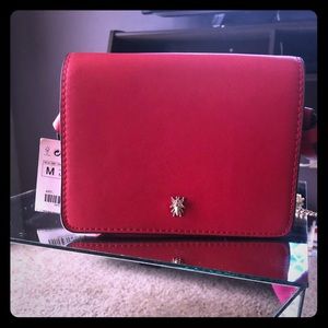 Zara crossbody purse